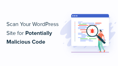 چگونگی اسکن سایت وردپرس برای بدافزار